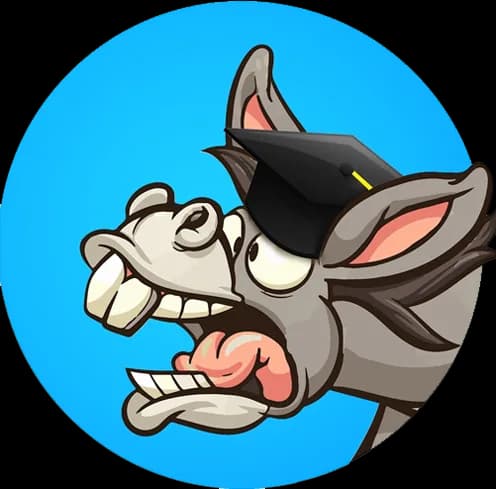Donkey Academy